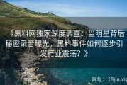 《黑料网独家深度调查：当明星背后秘密录音曝光，黑料事件如何逐步引发行业震荡？》