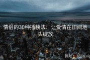 情侣的30种插秧法：让爱情在田间地头绽放