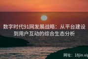 数字时代91网发展战略：从平台建设到用户互动的综合生态分析