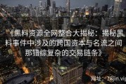 《黑料资源全网整合大揭秘：揭秘黑料事件中涉及的跨国资本与名流之间那错综复杂的交易链条》