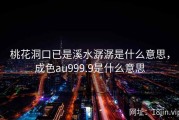 桃花洞口已是溪水潺潺是什么意思，成色au999.9是什么意思