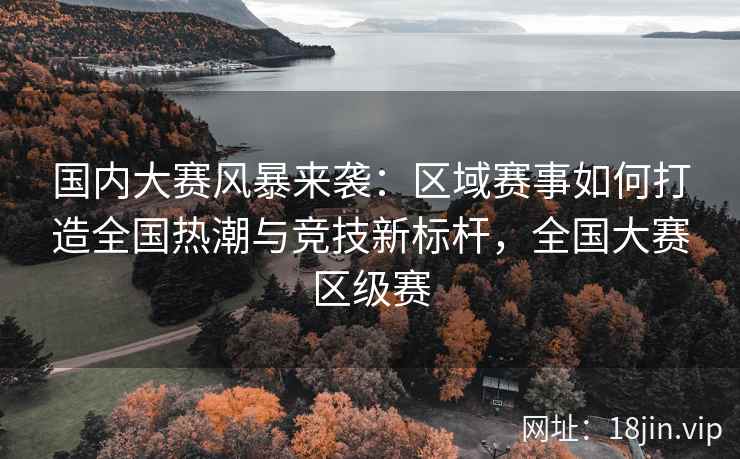 国内大赛风暴来袭：区域赛事如何打造全国热潮与竞技新标杆，全国大赛区级赛