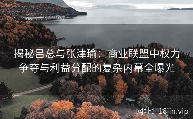 揭秘吕总与张津瑜：商业联盟中权力争夺与利益分配的复杂内幕全曝光
